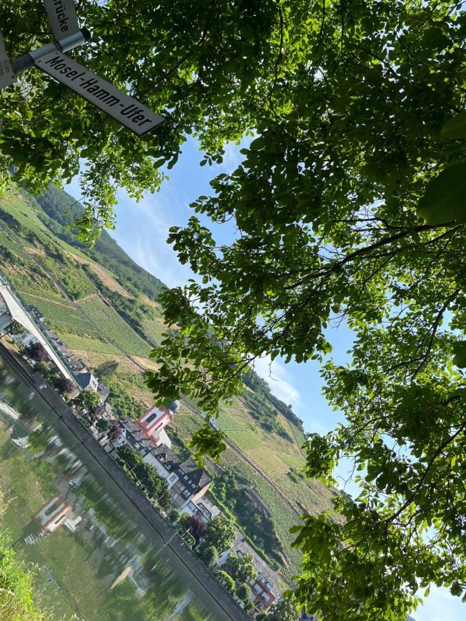 Ferienhaus Ankerpunkt Zell an der Mosel Ngoại thất bức ảnh