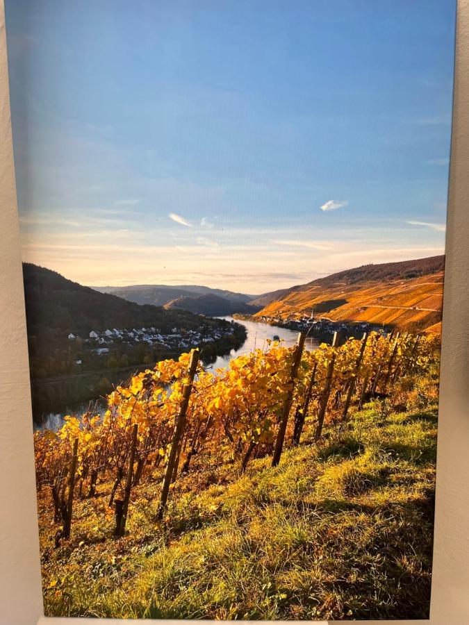 Ferienhaus Ankerpunkt Zell an der Mosel Ngoại thất bức ảnh